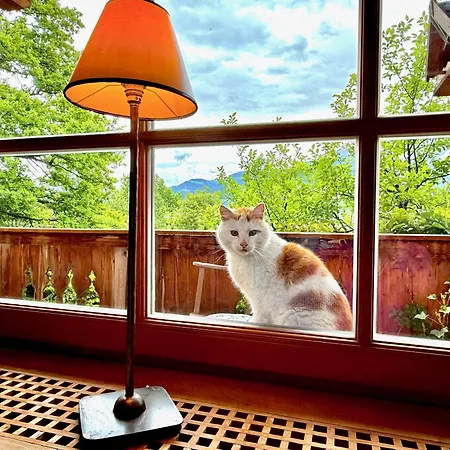 Kitzdiamant With Pool, Sauna & Garden Deluxe By Belle-stay